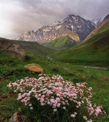 نمایی زیبا از آلپ ایران در بهار+عکس