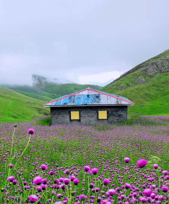 تصویر دیدنی از ییلاقات گیلان در بهار