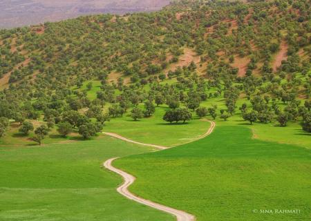 طبیعت زیبای ایلام در بهار زیبا