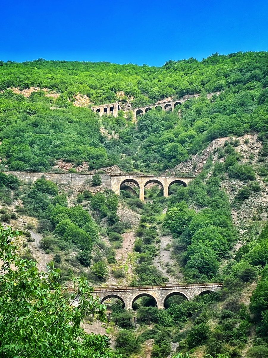 سه‌خط طلا در طبیعت زیبای مازندران+عکس