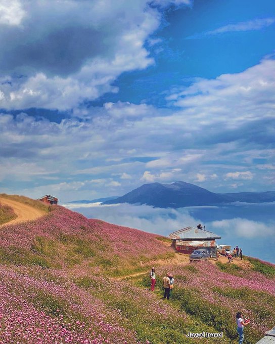 بهار در ییلاق سلانسر این شکلی است+عکس
