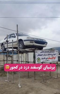  پرشیای گوسفند دزد به نمایش عمومی گذاشته شد+عکس