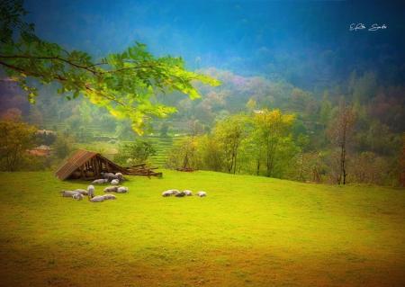بُرِشی از بهشت، ماسال، گیلان زیبا 