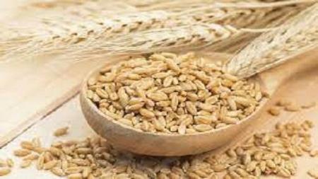 با این نسخه خانگی روده خود را ظرف مدت ۳۰ روز احیا کنید