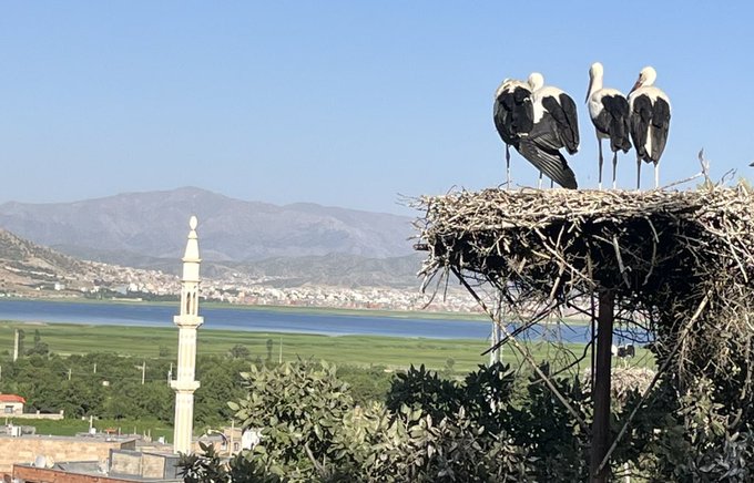 کردستان زیبا، شهر لک ها لک ها نزدیکی دریاچه زریوان