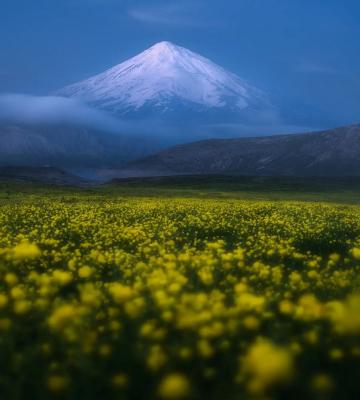 تصویر رویایی از قله دماوند در یک صبح مه آلود