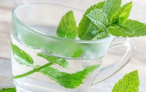  عرق کاسنی را کِی بخوریم؟/طریقه مصرف
