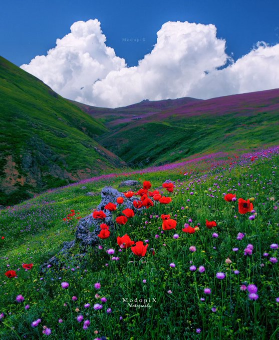 این یک کارت پستال نیست تصویری از پونل خلخال است+عکس