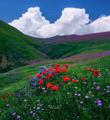 این یک کارت پستال نیست تصویری از پونل خلخال است+عکس