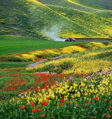 طبیعت دل انگیز ترکمن صحرا در گلستان زیبا