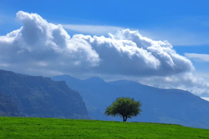 تصویری از زاگرس زیبا و تک درخت‌اش+عکس