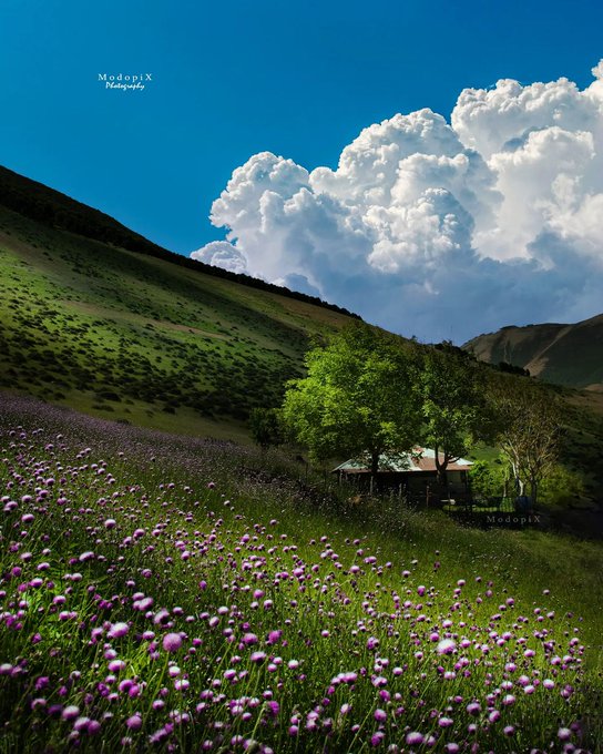 تصویری از طبیعت گیلان که شبیه یک نقاشی است+عکس