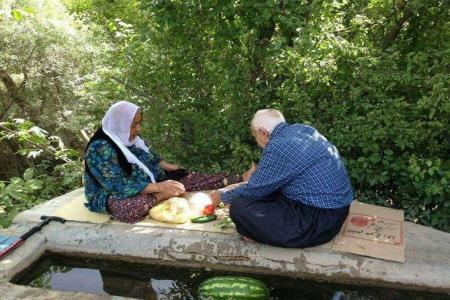 تصویری خاص از یک پدربزرگ و مادربزرگ ایرانی که پربازدید شد