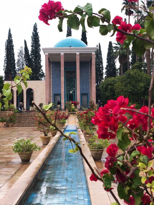 تصویر دل انگیز از سعدیه شیراز