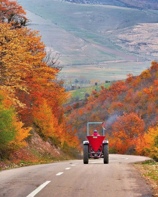 تصویر دیدنی از جنگل‌های روستای سنگده مازندران