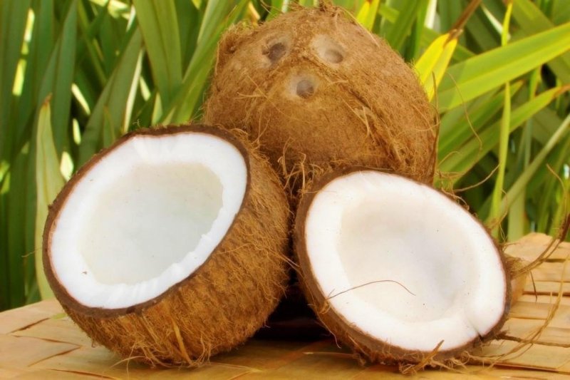از این میوه برای رفع خستگی مزمن استفاده کنید