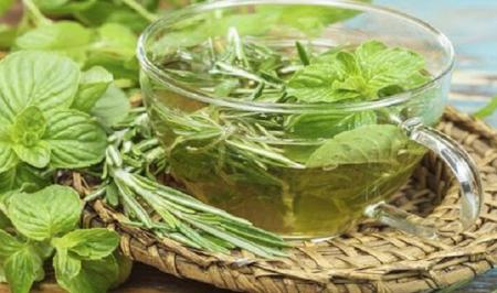 گیاهی که نوشیدن دم کرده آن یبوست را برطرف می‌کند