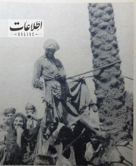  تصاویری دیده نشده از جشن خرما چینی در بلوچستان سال ۱۳۴۳