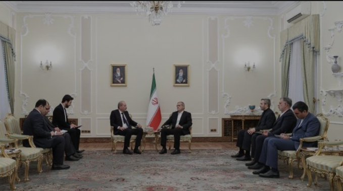 دیدار وزیر امور خارجه اردن با رئیس جمهور پزشکیان