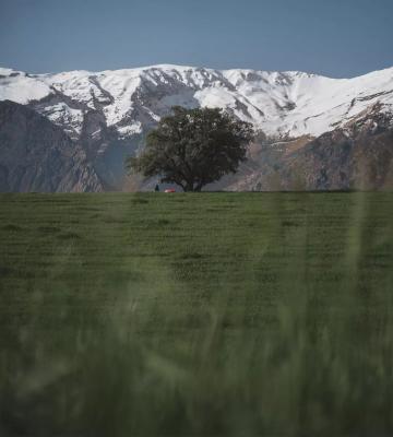  طبیعت دیدنی از زراس خوزستان