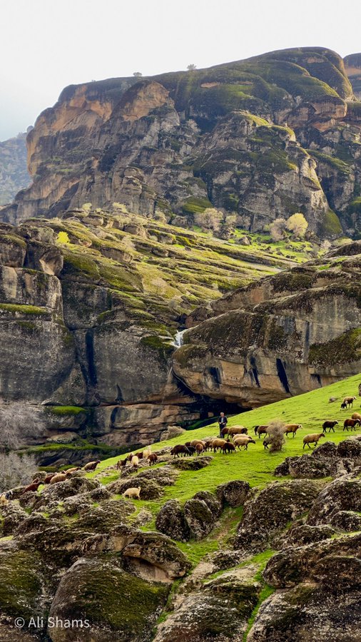 طبیعت شگفت‌انگیز مخمل‌کوه لرستان