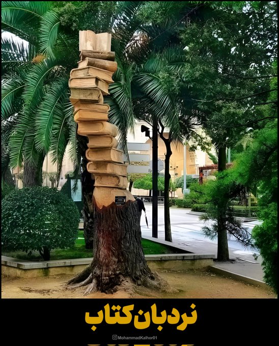 درخت کاج ۱۱۰ ساله‌ای که تبدیل به نردبان کتاب شد