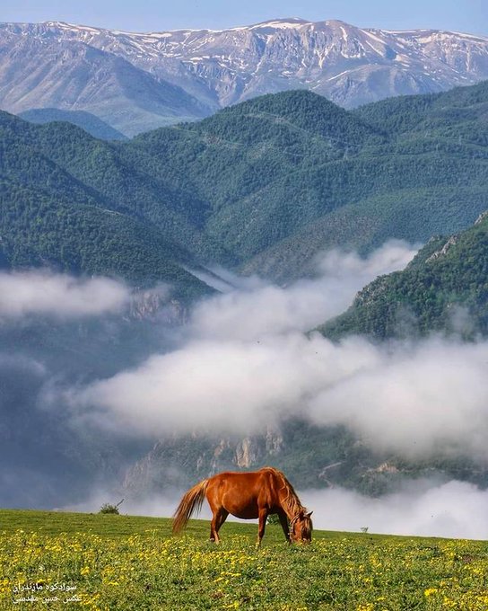  نمایی بی‌نظیر از سواد کوه مازندران