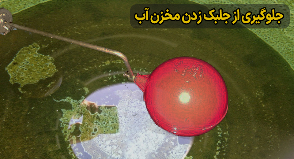 آگهی/روش‌های جلوگیری و از بین بردن جلبک در مخزن آب