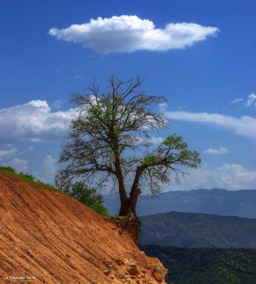 تصویر دیدنی از دره اناران در لرستان زیبا