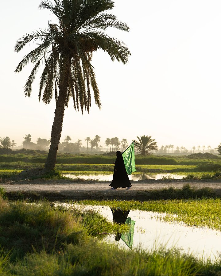 تصویر خاص از پیاده‌روی اربعین از مسیر طریق العلما
