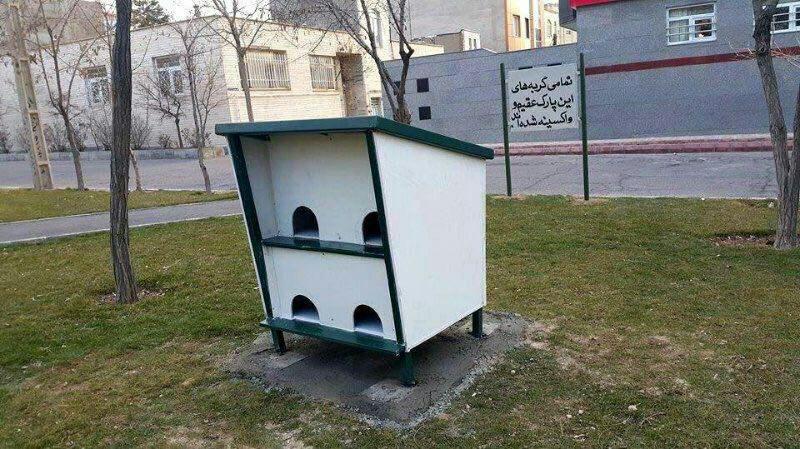 گربه های تبریز صاحب خانه شدند+عکس