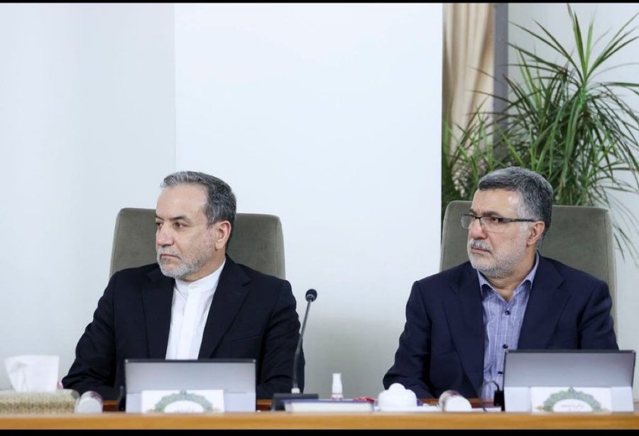 قاب دونفره از دکتر عراقچی و دکتر ظفرقندی در هیئت دولت