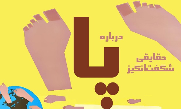 اینفوگرافیک/دانستنی‌هایی شگفت انگیز در مورد پا