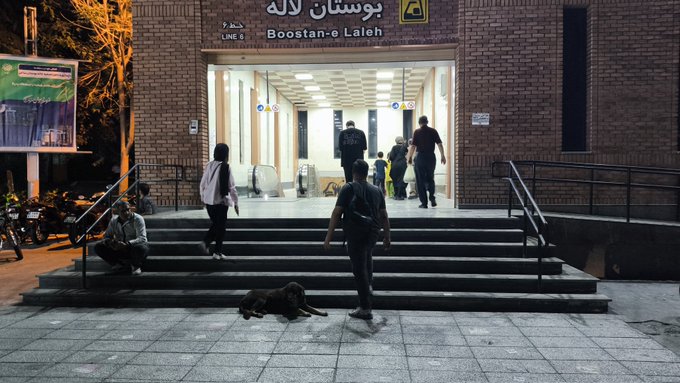 تصویر جالب از سگ نگهبان مترو تهران