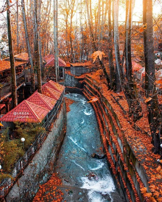 نمایی از طبیعت درکه تهران در پاییز زیبا
