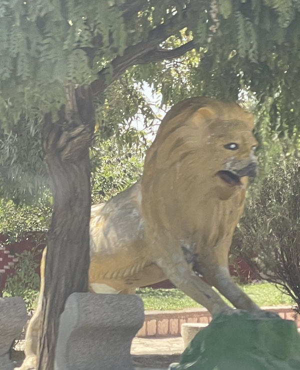 تصویری از مجسمه شیر با یک ظاهر عجیب در شیراز که جنجالی شد! 