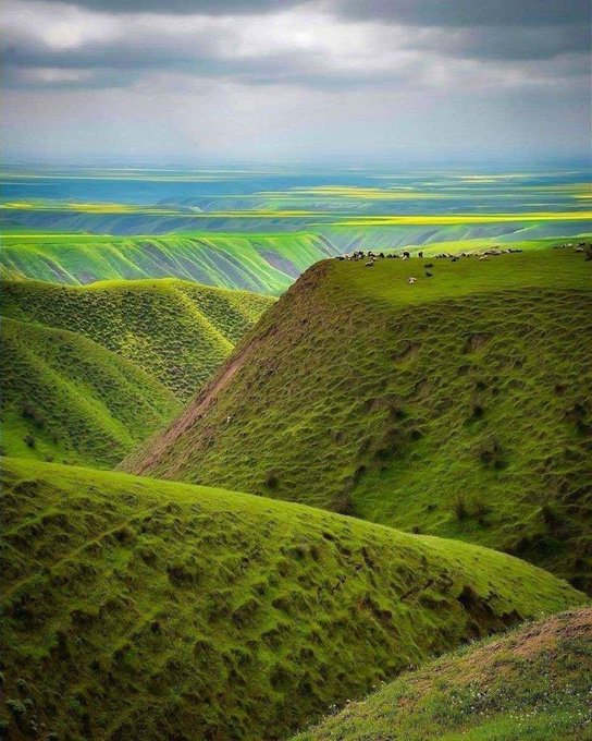 تصویر کارت پستالی دیدنی از ترکمن صحرای گلستان