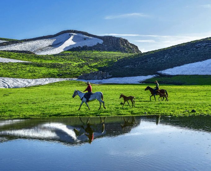 اسب سواری در ارتفاعات شگفت‌انگیز مازندران +عکس