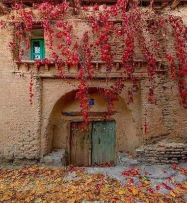 خوانسار به استقبال پاییز رفت+عکس