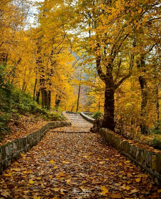 زیبایی مسحور کننده پاییز در طبیعت گلستان 