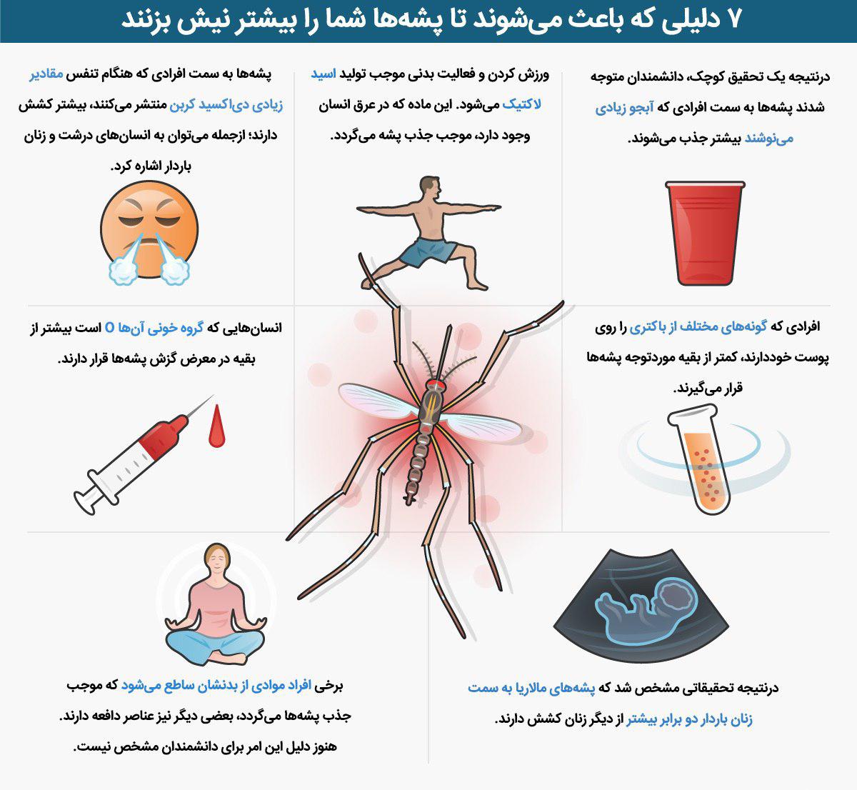  ۷ دلیلی که باعث می‌شوند تا پشه‌ها شما را بیشتر نیش بزنند + اینفوگرافیک