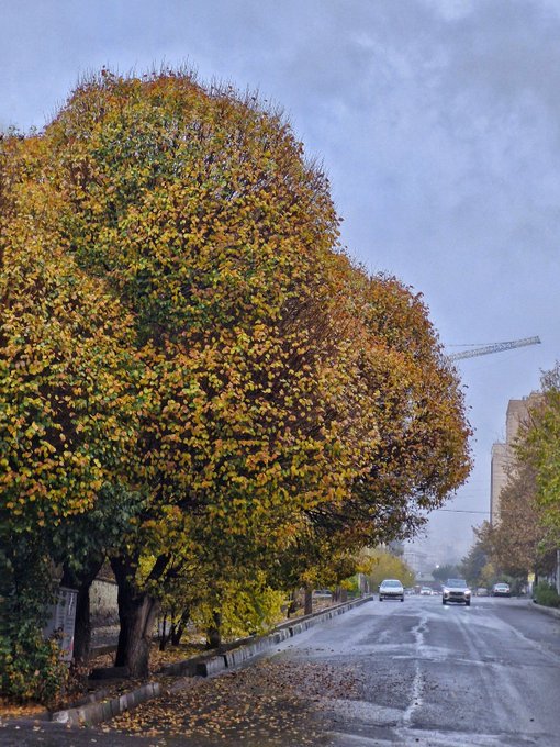 تصویری از تهران بارانی و زیبا که برای امروز است