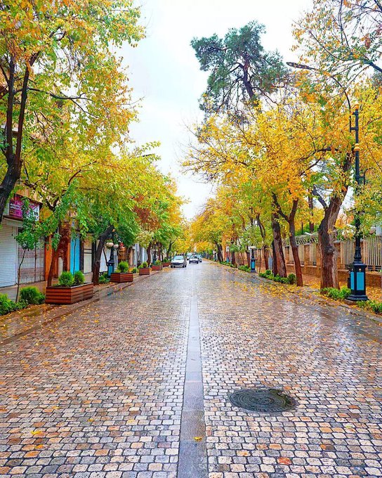 نمایی خاص از خیابان طالقانی شیراز در پاییز