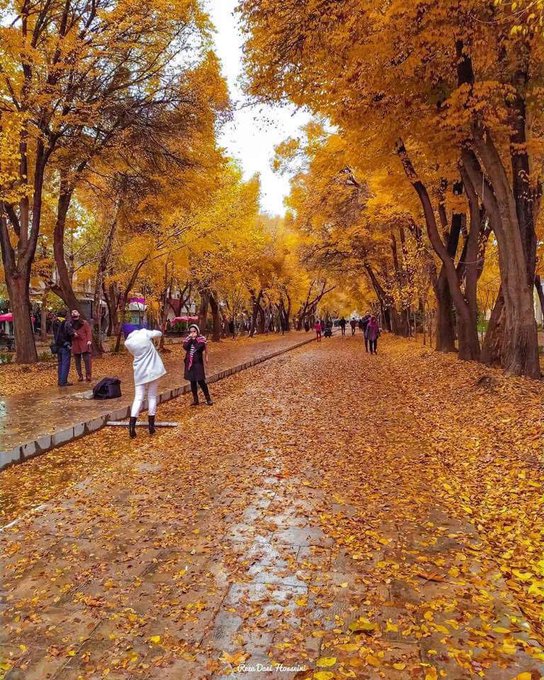 عکس گرفتن رهگذران در پاییز رویایی چهارباغ اصفهان