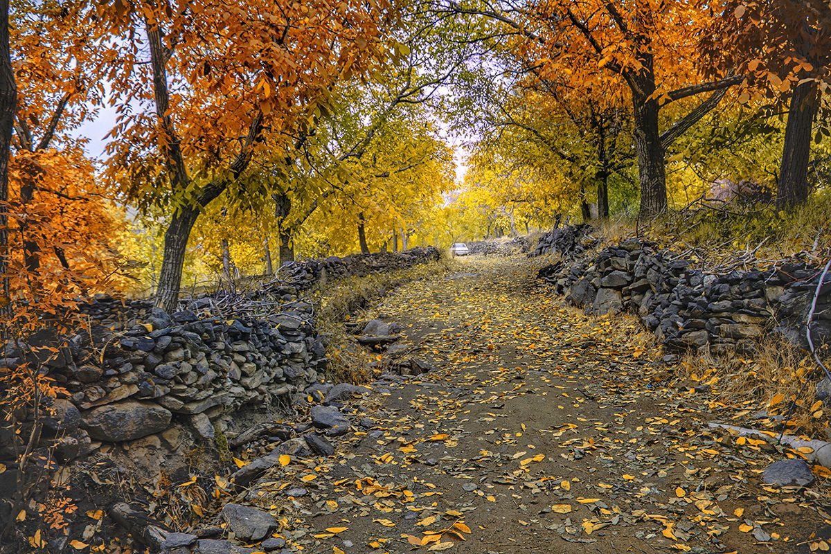 طبیعت بکر و زیبای علی آباد دمق شهرستان ملایر 