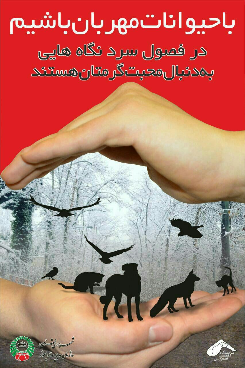 بنر شهرداری قزوین برای حمایت از حیوانات+عکس