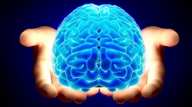 هوش مصنوعی چه کسانی را بیکار می کند؟ /اینفوگرافیک