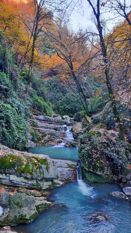 تصویری از گلستان ایران که روح تان را نوازش میکند