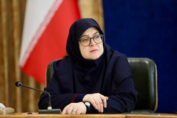 دیدار کریسمسی سخنگوی دولت با مادر اولین شهید ارمنی+ تصاویر