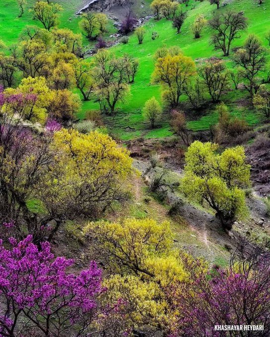 لرستان در بهار این شکلی می‌شود